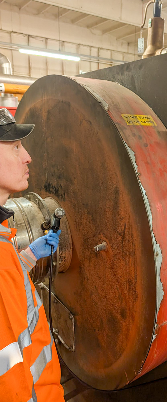 Boiler plant assessment